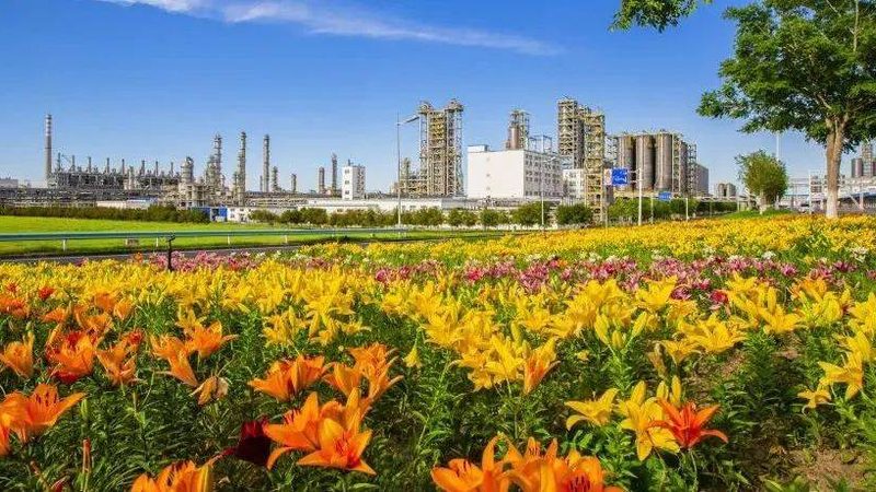 塑料原料检测标准：保障品质与安全的基石