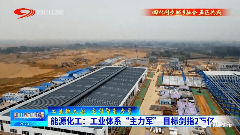 天然防腐剂与化学防腐剂：优缺点对比解析**